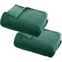 Atmosphera Plaid deken - 2x - groen - polyester - 130 x 180 cm - Bankdeken - Fleece plaid