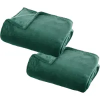 Atmosphera Plaid deken - 2x - groen - polyester - 125 x 150 cm - Bed/Bankdeken - Fleece plaid - Lekker warm