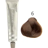 Alfaparf Milano Coloration Evolution of the Color Permanent Coloring Cream No. 6 Dark Blonde