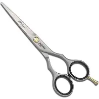 Jaguar Pre Style Relax P Knipschaar 5,5inch
