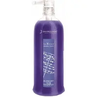 JEAN PAUL MYNè - Navitas Organic - Shampoo Blueberry ICE - 250 ml