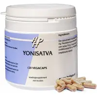 Holisan Ayurveda Shijalit plus 45 capsules