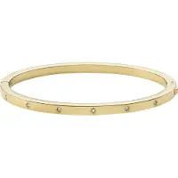 Fossil Armband goud / transparant