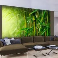Artgeist Fotobehang – Behangpapier - Fotobehang - jungle - bamboo 300x231 -