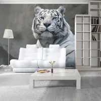 Artgeist Fotobehang – Behangpapier - Fotobehang - Bengaalse tijger in dierentuin 250x193 -
