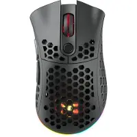 Nordic Gaming NG FreeFlyer Muis Ambidexter RF Draadloos+USB Type-A Optisch 19000 DPI (Draadloze), Muis, Zwart