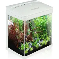 Nobleza Aquarium Kit - 23 x 16 x 27,5 cm - 7 L - Wit