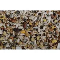 Wielink Papegaai deluxe met fruit 15 kg
