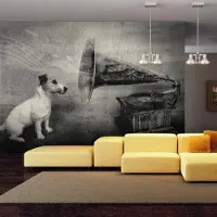 Artgeist Fotobehang – Behangpapier - Fotobehang - Dog's melodies 350x270 -