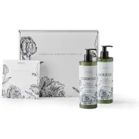 Oolaboo Signature Limited Collection