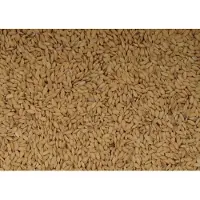 Wielink Paddy rijst 20 kg