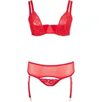 Cottelli Plus Size - veelzijdige lingerieset duo (rood) - 95F/2XL