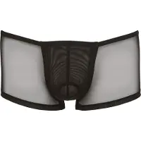 Erotic Treasure Heren Short van netstof