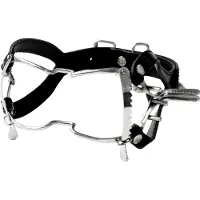 Kiotos Whitehead Steal Gag - Zilver