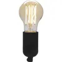 Enzo Denver LED GLS filament E27 4,9W dimbaar SMART Wi-Fi TUYA - LED5110