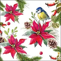 Ambiente - Bird On Poinsettia White - Papieren lunch servetten - 2 pakken - 33x33cm - Kerst - Vogels - Kerstster