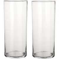 Mica Decorations 2x Ronde glazen cilinder vaas/vazen transparant 48 cm lang - Vazen