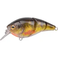 Spro Ikiru Tri-Crank 65F Roach