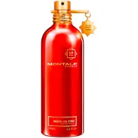 Montale Wood On Fire 100ml Eau De Parfum