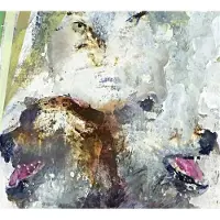 Konkurrent These Arms Are Snakes - Tail Swallower And Dove (LP) (Coloured Vinyl) (Limited Edition)
