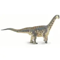 Safari Ltd. Camarasaurus Figuren - Realistisch 13,5" Model - Educatief Dinosaurusspeelgoed voor Kinderen 3+
