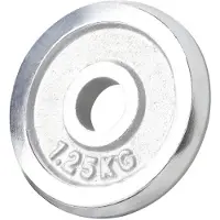Gorilla Sports Halterschijf 1,25 kg Chroom