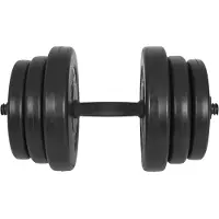 Gyronetics Dumbell 20 kg (25 mm)