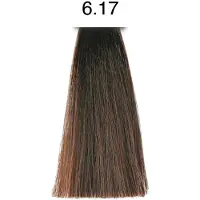 PH Argan & Keratin Color 6.17 Arctic Blonde, Tube 100 ml