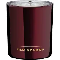 Ted Sparks - Geurkaars Demi - 60 Branduren - 1 Lont - Luxe Verpakking - Birch & Patchouli
