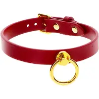 Taboom O-Ring Collar - Rood