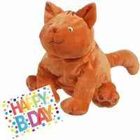 Happy horse Pluche knuffel Dikkie Dik kat/poes 43 cm met A5-size Happy Birthday wenskaart - Verjaardag cadeau setje