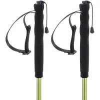 Ferrino Stokken Stick Jet 110 cm (paar)