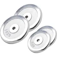 Gorilla Sports Halterschijven set 30 kg Chroom - 2 x 10 kg + 2 x 5 kg