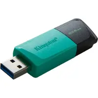 Kingston DataTraveler Exodia M - USB-stick - USB 3.2 Gen 1 Type-A - 256GB