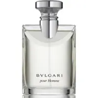 Bvlgari Herengeuren Bvlgari pour Homme Eau de Toilette Spray 100 ml