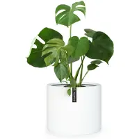 Fox & Fern Bloempot buitenpot vezelsteen in/outdoor