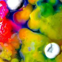 Konkurrent Guerilla Toss - Famously Alive (CD)