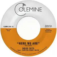 Import Here We Are Vinyle Coloré