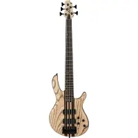 Cort A5 Ultra Ash Etched Natural Black 5-snarige elektrische basgitaar met deluxe softcase