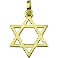 Trendjuwelier huiscollectie 4001562 Gouden bedel Davidster