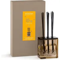 Esteban Classic Ambre Geurstokjes Triptyque - 250 ml