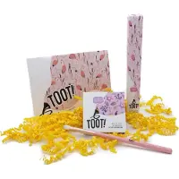 TOOT! Natuurlijke Kinder Make-up Set - Zeester - Oogschaduw & Kwast
