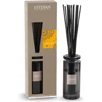 Esteban Classic Ambre geurstokjes Initial 75ml