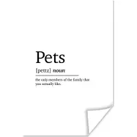 PosterMonkey Poster Quotes - Pets - Huisdieren definitie - Spreuken - Woordenboek - 60x90 cm