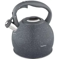 Klausberg KB-7321 fluitketel - 2L - rvs - alle warmtebronnen