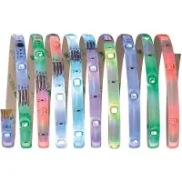 Paulmann Function Digital LED Stripe Set 3m RGB 70481 LED-strip complete set Met connector (male) 12 V 3 m RGB 1 stuk(s)