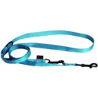 Martin multipurpose lijn voor hond nylon turquoise 200x2 cm