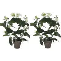 Mica Decorations 2x Stuks Stephanotis Bruidsbloem Kunstplanten Wit In Grijze Sierpot H50 Cm X D40 Cm - Kunstplanten