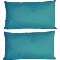 Anna's Collection 2x Bank/sier kussens voor binnen en buiten in de kleur petrol blauw 30 x 50 cm - Sierkussens