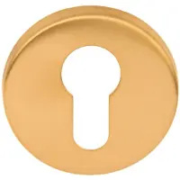 Formani BASICS LBY50 cilinderplaatje 6mm PVD mat goud